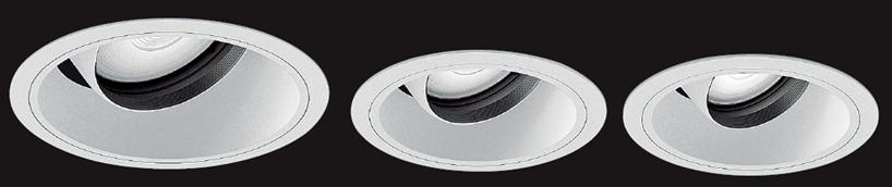 可旋轉筒燈(COB)